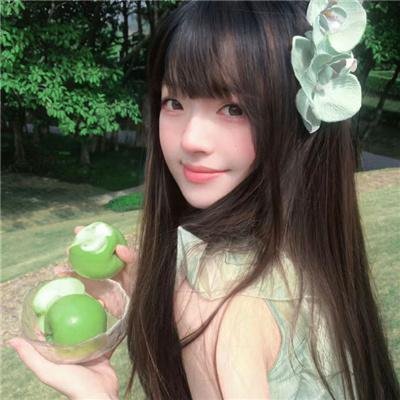 甄嬛传